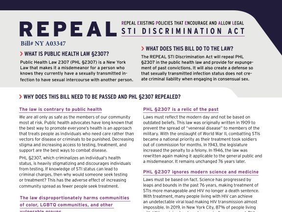 REPEAL Bill NY A03347 NY STI Decrim Coalition 2023 The